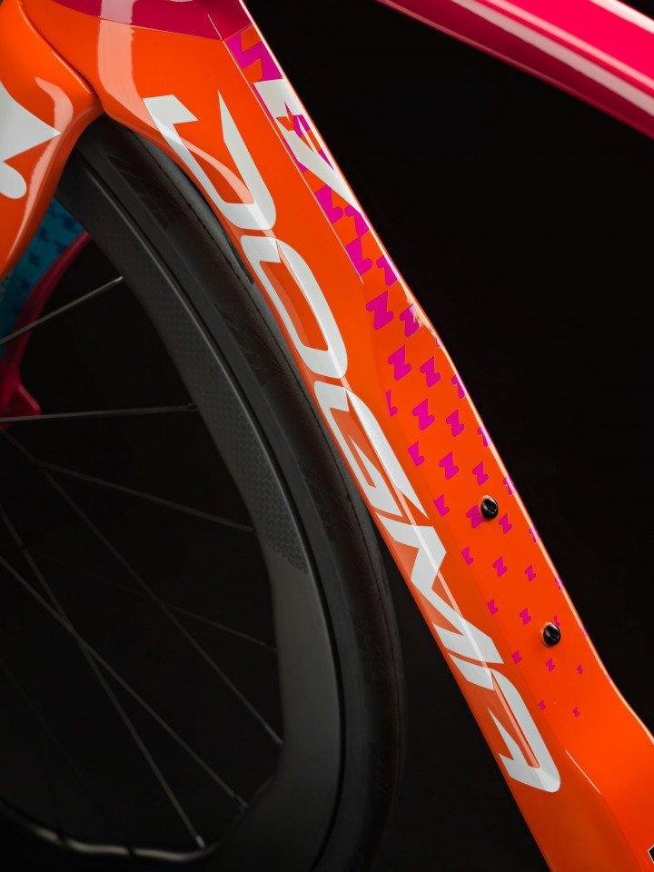 Pinarello Dogma F Zwift Edition Frameset | Strictly Bicycles