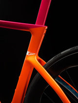 Pinarello Dogma F Zwift Edition Frameset | Strictly Bicycles