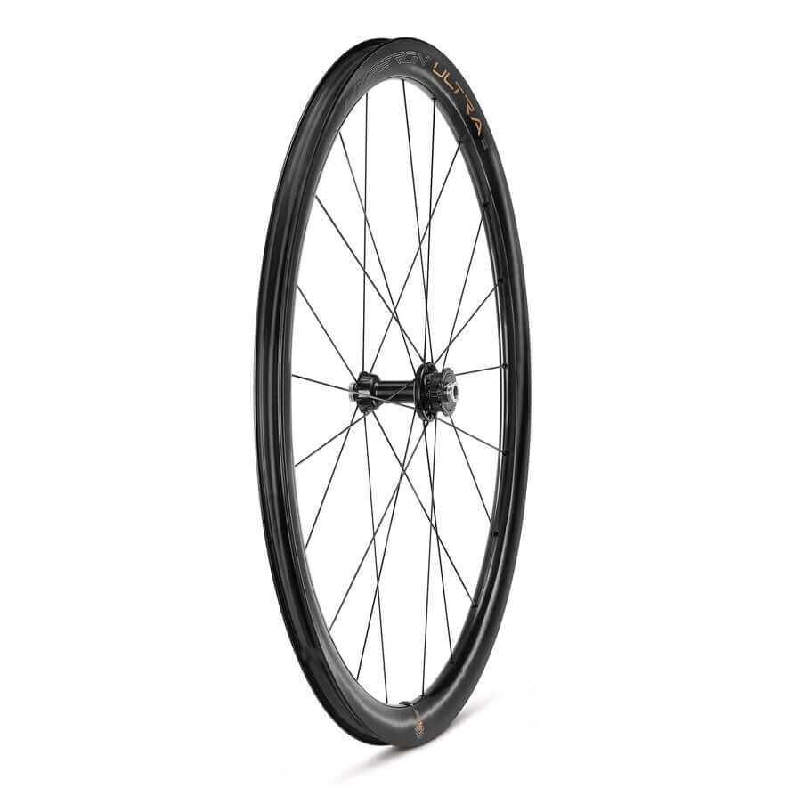 Campagnolo bicycle online wheels